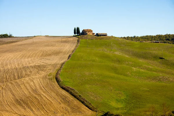 Paesaggio Con Campi Agricoli Colline Toscana Estate — Foto Stock