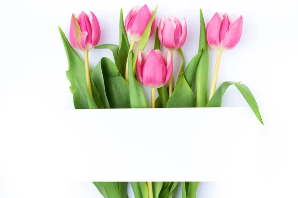 Ressort Plat Posé Avec Feuille Papier Tulipes Isolées Sur Fond — Photo