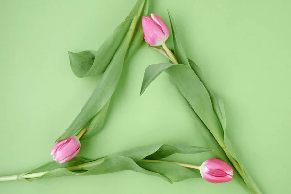 Ressort Plat Posé Avec Des Tulipes Dans Symbole Recyclage Isolé — Photo