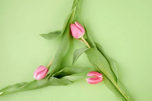 Ressort Plat Posé Avec Des Tulipes Dans Symbole Recyclage Isolé — Photo