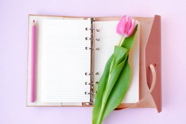 bahar dairesi lale, kalem ve defter ile pembeye izole edilmişti..