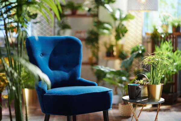 Zöld Otthon Kék Fotel Modern Házban Napsütéses Napon — Stock Fotó