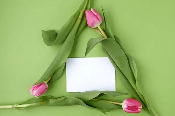 Ressort Plat Posé Avec Des Tulipes Dans Symbole Recyclage Feuille — Photo