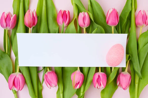 Jarní Plochý Ležel Velikonočním Vejcem Papírovým Listem Tulipány Izolované Růžovém — Stock fotografie