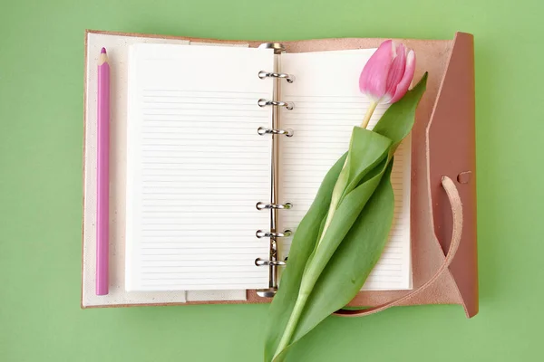 Wiosna Płaskie Leżały Tulipanem Notebooka Izolowane Zielonym Tle — Zdjęcie stockowe