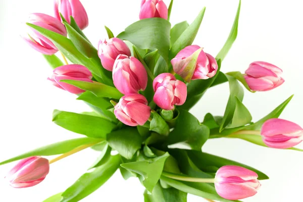 Printemps Plat Posé Avec Des Tulipes Isolées Sur Fond Blanc — Photo