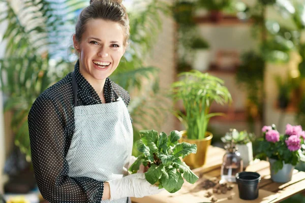 Relaxing home gardening. Portrait of smiling young woman in white rubber gloves with potted plant do gardening in the modern house in sunny day.