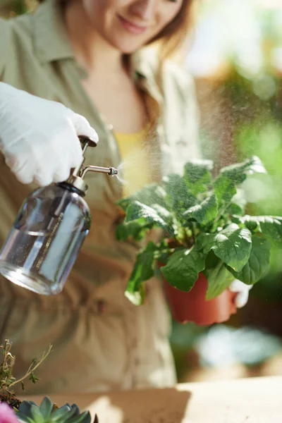Relaxing home gardening. Closeup on middle aged woman in white rubber gloves in the house in sunny day watering plant.