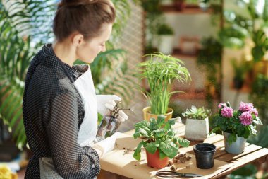 Yeşil ev. Gündüz sulayan modern evde beyaz lastik eldivenli 40 yaşındaki modern ev hanımı..