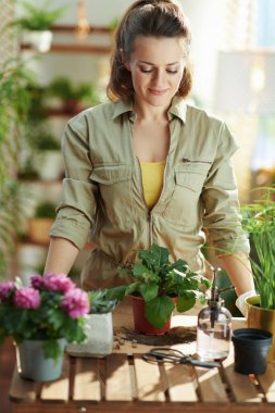 Yeşil ev. Güneşli bir günde modern bir evde beyaz lastik eldivenli, saksı bitkisi olan mutlu modern ev hanımı..