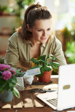Yeşil ev. Mutlu modern ev hanımı beyaz lastik eldivenler içinde saksı bitkisi ve kredi kartı ile e-ticaret sitesinden online alışveriş yapıyor ve güneşli bir günde modern oturma odasında dizüstü bilgisayar kullanıyor..