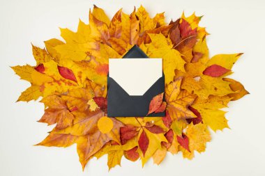 Merhaba Kasım ayı. Sonbahar düzlüğü beyaz arkaplanda harf ve yapraklarla yatıyordu.