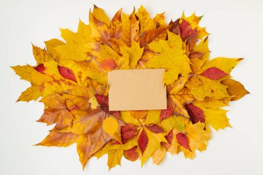 Merhaba Eylül. Kağıt sayfa ve beyaz arkaplanda yapraklarla sonbahar arkaplanı.