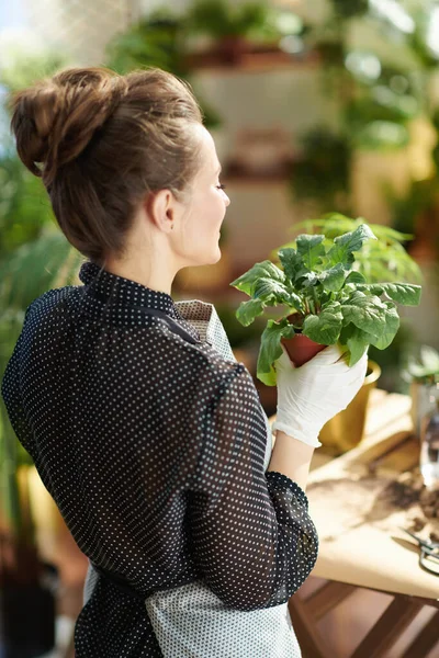 グリーン ホーム 白いゴム手袋の若い女性の後ろから見た陽の日の現代のリビングルームに鉢植えの植物 — ストック写真