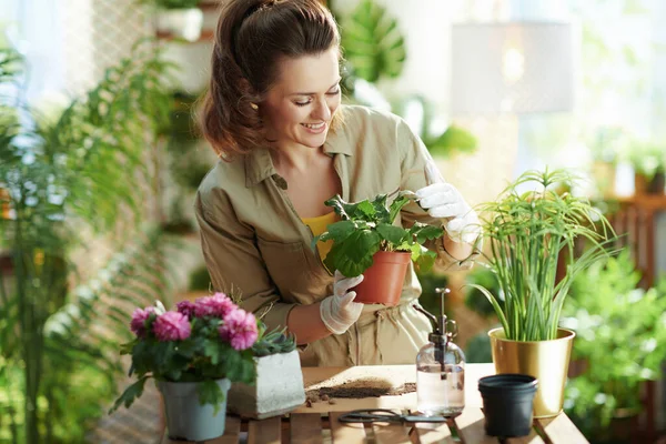 グリーン ホーム 幸せな現代の花屋で白いゴム手袋で鉢植えの庭師は晴れた日に現代の家で — ストック写真