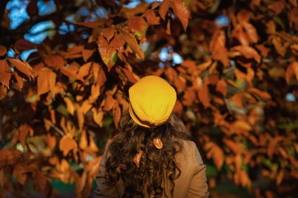 Olá Outono Visto Trás Mulher Casaco Marrom Chapéu Amarelo Entre — Fotografia de Stock