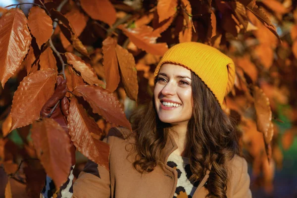 Γεια Σου Φθινόπωρο Χαμογελώντας Κομψό Ετών Γυναίκα Καφέ Παλτό Και — Φωτογραφία Αρχείου