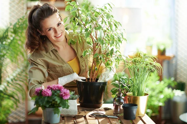 グリーン ホーム 白いゴム手袋をした若い女性の笑顔鉢植えの植物は晴れた日に現代のリビングルームでガーデニングをします — ストック写真