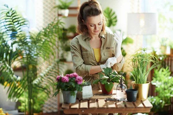 Relaxing home gardening. young florist in white rubber gloves with potted plant do gardening at modern home in sunny day.