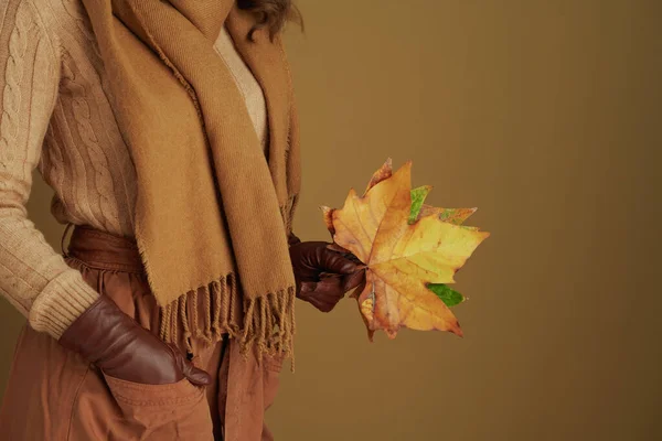 Witaj Październik Zbliżenie Kobietę Szaliku Skórzanymi Rękawiczkami Żółtym Jesiennym Klonem — Zdjęcie stockowe