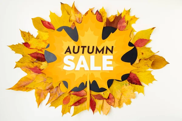 Hallo Oktober Herfst Achtergrond Met Banner Koop Bladeren Witte Achtergrond — Stockfoto