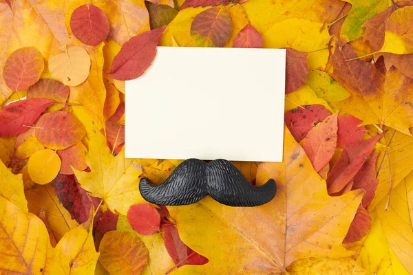 Hello autumn. autumn flat lay with paper sheet, leaves and mustache.