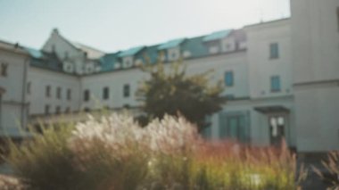 Şehrin dışında çanta ve scooterlı bir kadın tarafından görülmüş..