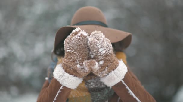 公园里 身穿棕色帽子和围巾 头戴雪白手套 身穿羊皮外套的时尚女性在户外微笑着 — 图库视频影像