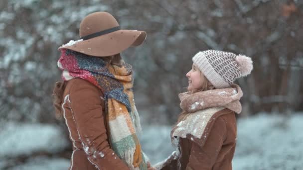 Mutlu Zarif Anne Çocuk Şapkalar Koyun Derisi Mantolarla Kışın Şehir — Stok video