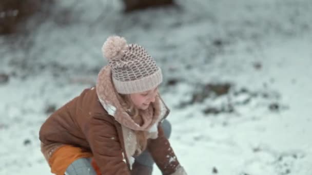 겨울에 공원의 야외에서 눈덩이를 뜨개질 모자를 양가죽 코트를 — 비디오