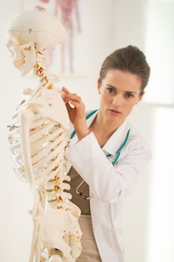 Doktor kadın insan iskelet anatomik model üzerinde işaret