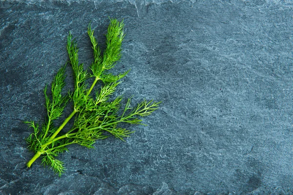Closeup on dill on stone substrate — Stock Photo, Image