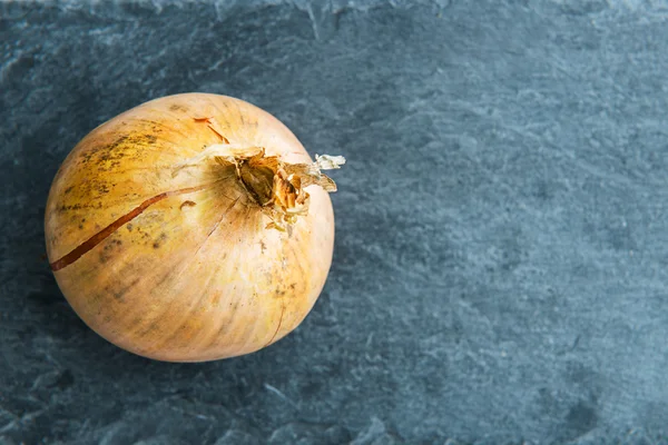 Closeup on onion on stone substrate — Stock Photo, Image