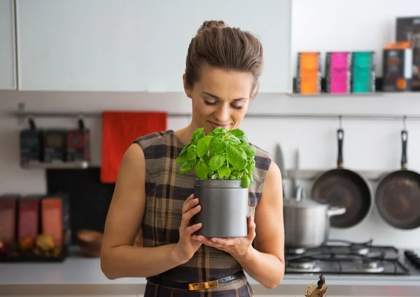 Young housewife enjoying fresh basil — Stock Photo, Image