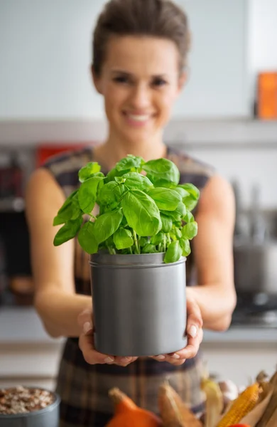 Closeup on young housewife showing fresh basil — Stock Photo, Image