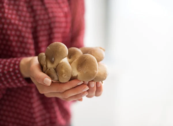 Closeup on young housewife showing oyster mushrooms — Stock Photo, Image
