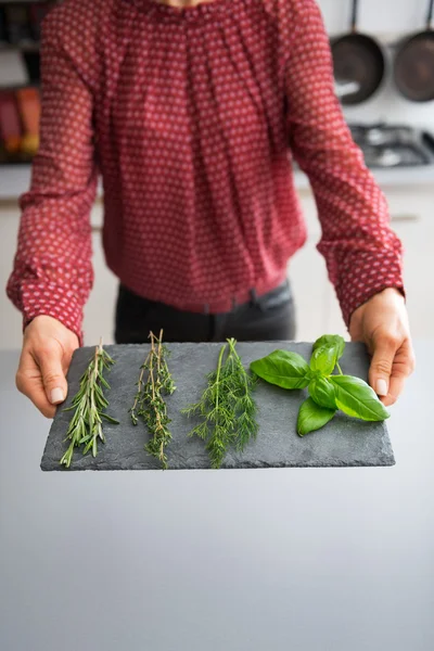 Closeup on young housewife showing fresh spices herbs on stone s — Stock Photo, Image