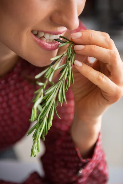 Closeup on young housewife eating fresh rosmarinus — Stock Photo, Image