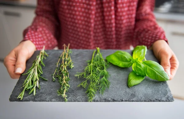 Closeup on young housewife showing fresh spices herbs on stone s — Stock Photo, Image