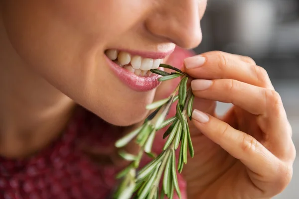 Closeup on young housewife eating fresh rosmarinus — Stock Photo, Image