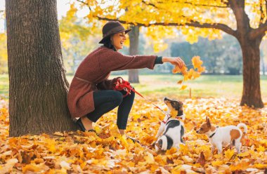 mutlu genç kadın köpeklerle açık havada Sonbahar oynamak