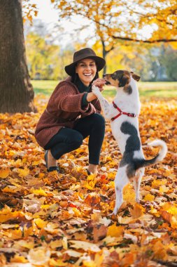 genç kadın köpekle açık havada sonbaharda oynamayı