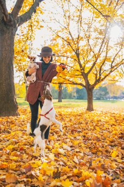 mutlu genç kadın köpeklerle açık havada Sonbahar oynamak