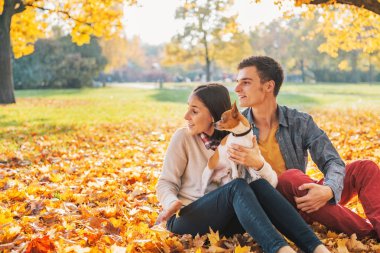 seyir ve genç bir çift açık havada sonbahar parkta köpek ile oturma.