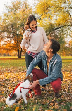 açık havada sonbahar parkta oynayan köpekler ile mutlu genç Çift