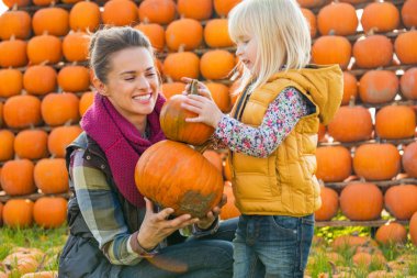 Anne ve çocuk kabak seçme