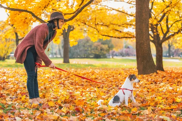 Jovem mulher com cão ao ar livre no outono — Fotografia de Stock