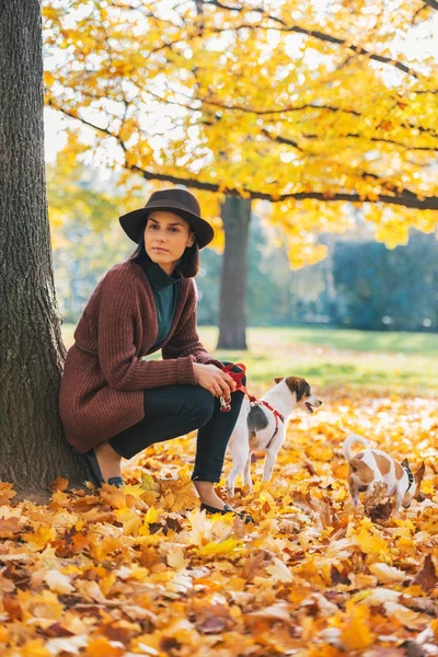 Mujer joven con perro de pie al aire libre en el parque en otoño — Foto de Stock
