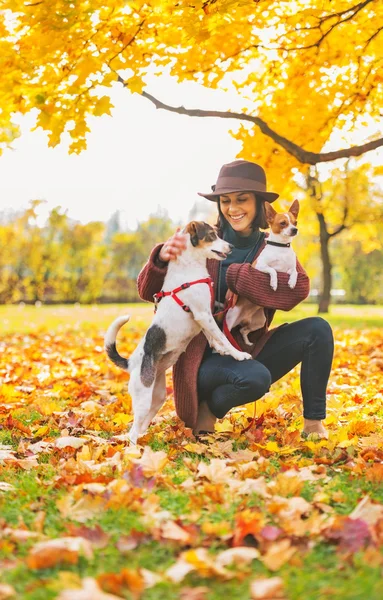 Счастливая молодая женщина играет с собаками на открытом воздухе осенью — стоковое фото