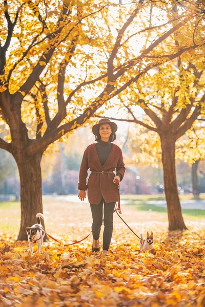 Retrato de comprimento total da jovem mulher feliz andando com cães outd — Fotografia de Stock